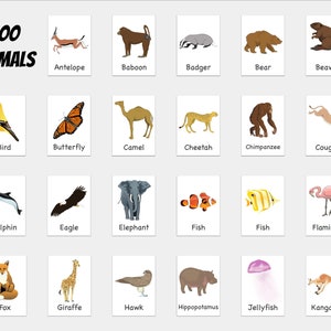 Pu&ograve; includere: Un grafico colorato con illustrazioni di vari animali dello zoo, tra cui un'antilope, un babbuino, un tasso, un orso, un castoro, un uccello, una farfalla, un cammello, un ghepardo, uno scimpanz&eacute;, un puma, un delfino, un'aquila, un elefante, un pesce, un fenicottero, una volpe, una giraffa, un falco, un ippopotamo, una medusa e un canguro. Il grafico &egrave; intitolato "Zoo Animals".