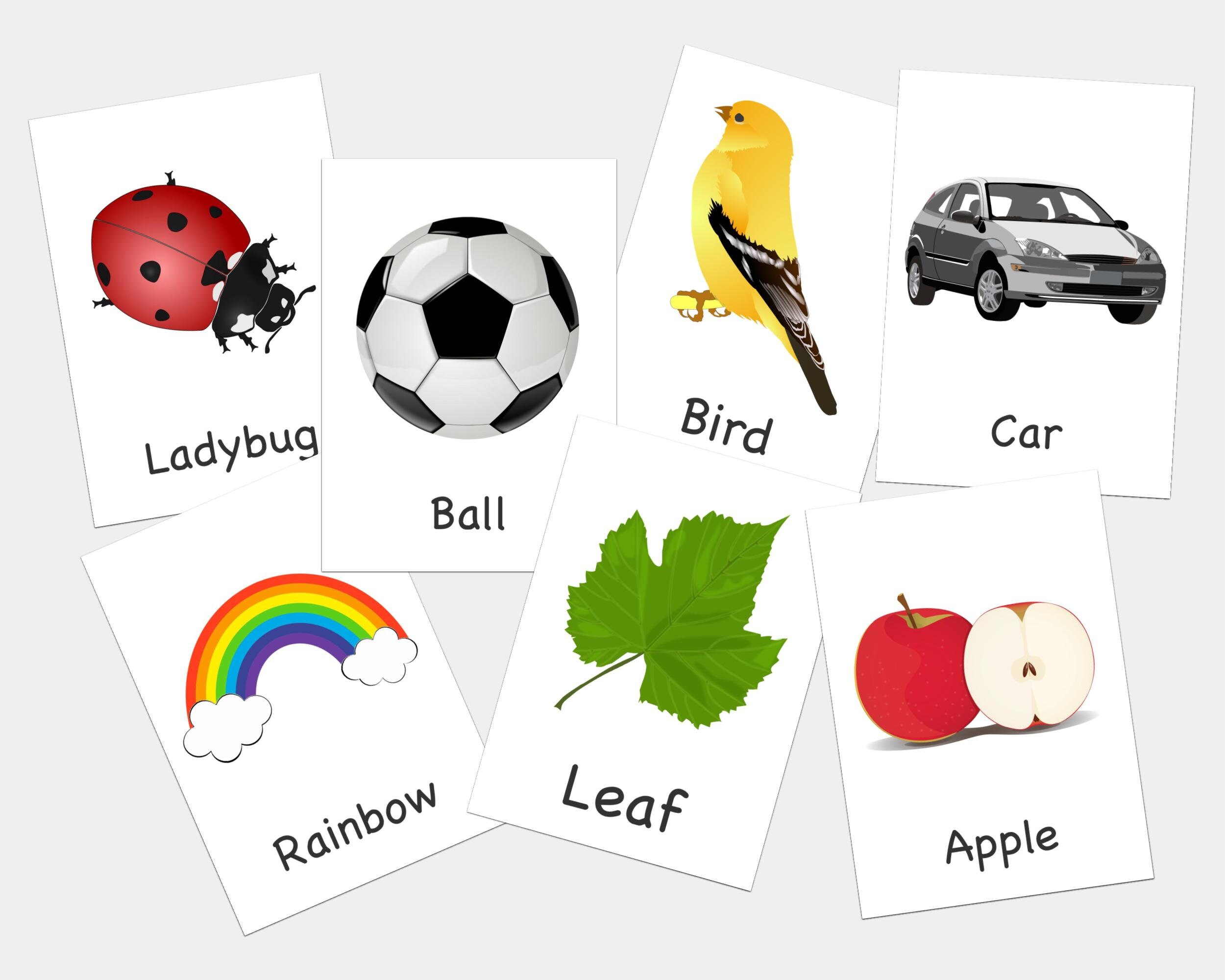 100 First Words Flashcards Printable Flashcards Learning Etsy