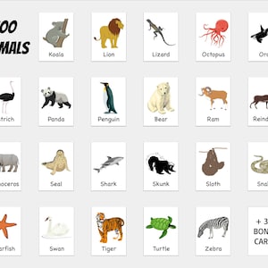 Pu&ograve; includere: Un set di 20 carte illustrate colorate che rappresentano diversi animali dello zoo, tra cui un koala, un leone, una lucertola, un polpo, un'orca, uno struzzo, un panda, un pinguino, un orso, un ariete, una renna, un rinoceronte, una foca, uno squalo, una puzzola, un bradipo, un serpente, una stella marina, un cigno, una tigre, una tartaruga e una zebra. Le carte includono anche il testo "Zoo Animals" e "+3 Bonus Cards".