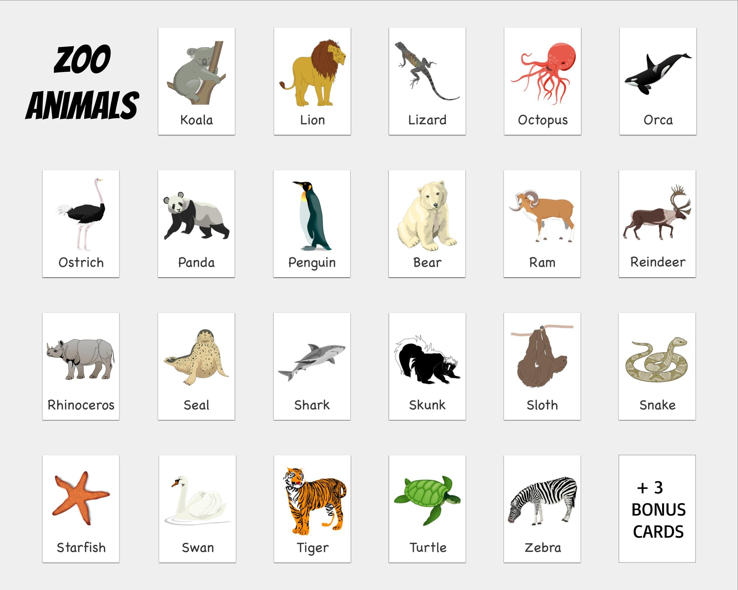 Zoo Animal Flashcards Printable Flashcards Learning for Babies and Kids
