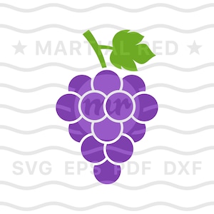 May include: Purple grapes with a green stem and leaf. The grapes are arranged in a cluster, with the largest grape in the center.