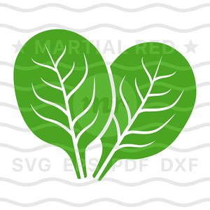 Épinards SVG, SVG végétalien, végétarien SVG, espagnol feuilles SVG, feuille, vert, SVG, couper fichier, design, DXF, clipart, vecteur, icône, EPS, PDF, png