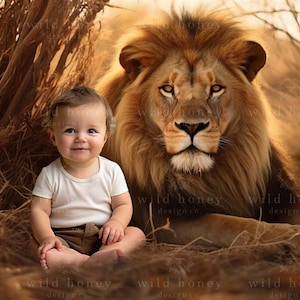 Lion Digital Backdrop, Fun, Fantasy, Digital Background for Photography,  Zoo, Animals, Wild, Grasses, Composite, Sunlight