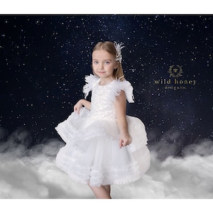 Stars at Night Digital Backdrop, Stars, Clouds, Heavenly, Photography Background, Dreamy, Fantasy, Digital Download, Photoshop