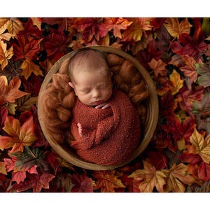 May include: A newborn baby is swaddled in a rust-colored knitted wrap and sleeping in a wooden bowl surrounded by fall leaves.