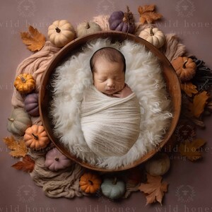 Fall Newborn Digital Backdrop, Pastel Pumpkins, Pumpkin, Pink, Autumn, Fall, Nature, Overhead,Digital Background, Photography, Composite