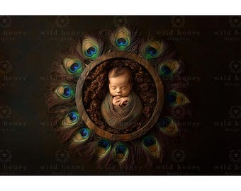 Peacock Feather Newborn Digital Backdrop (JPEG)