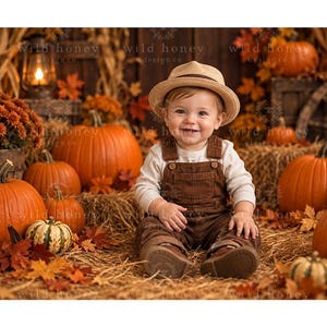 May include: A toddler wearing a tan fedora, a long-sleeved cream shirt, and brown corduroy overalls sits amidst a harvest scene featuring orange pumpkins, small striped gourds, autumn leaves, hay, and a lantern, with the text wild honey design co.