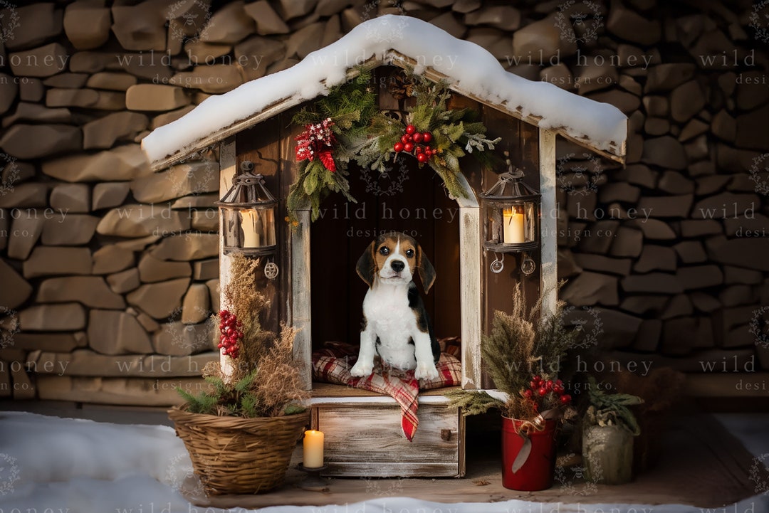 Christmas Kennel Digital Backdrop, Xmas, Snow, Doghouse, Pet, Dog