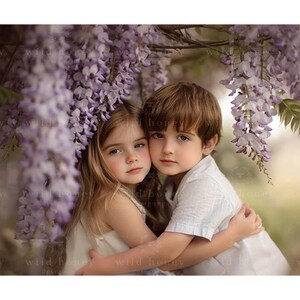 Wisteria Tree Digital Backdrop, Purple Flowers, Path, Digital Background, Portrait Photography