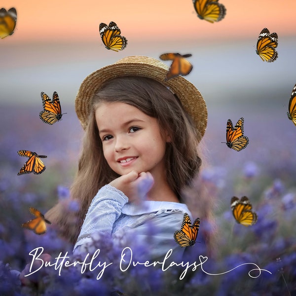 Butterfly overlays, PNG's, photoshop overlays, different colors, photo props, overlays, transparent pngs, digital background