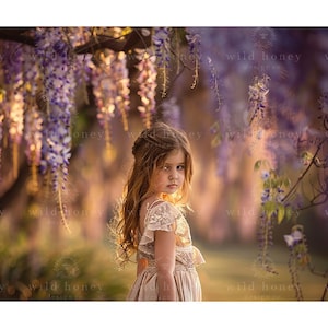 Wisteria Tree Digital Backdrop, Purple Flowers, Path, Digital Background, Portrait Photography