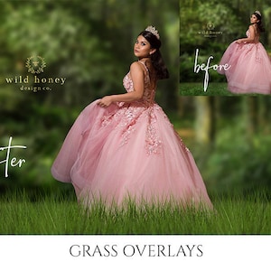 Grass Photo Overlays: Transparent PNGs for Photoshop (Digital Download)