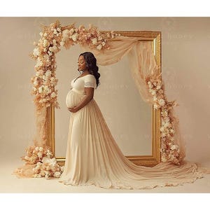Flower Frame Studio Digital Backdrop, Gold Frame, Pale Flowers, Pregnant, Maternity, Photography Studio, Digital Background