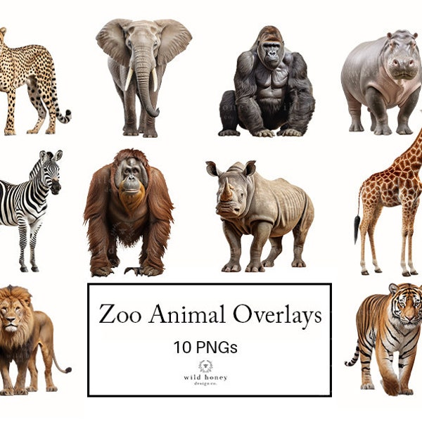 Photorealistic Zoo Animals Overlays, Clipart, 10 PNGs, Wild, Safari, Lion, Hippo, Rhino, Tiger, Orangutan, Zebra, Elephant, Gorilla, Giraffe