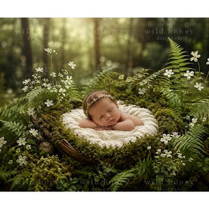 Può includere: Un neonato che dorme in un nido circolare foderato con tessuto testurizzato color crema, circondato da muschio verde, rigogliose fronde di felce e piccoli fiori bianchi. Il neonato indossa una fascia sottile e delicata sulla fronte.