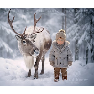 Friendly Reindeer Digital Backdrop, Reindeer, Snow, Christmas, Winter, Portrait Photography, Digital Background, Children