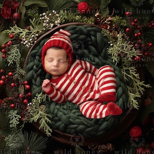 Christmas Newborn Digital Backdrop, Christmas Tree, Fir Branches, Berries, Pinecones, Newborn Photography, Overhead, Composite
