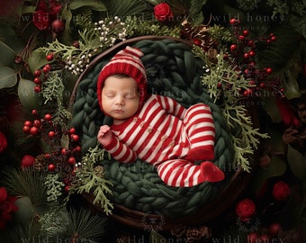 Christmas Newborn Digital Backdrop, Christmas Tree, Fir Branches, Berries, Pinecones, Newborn Photography, Overhead, Composite