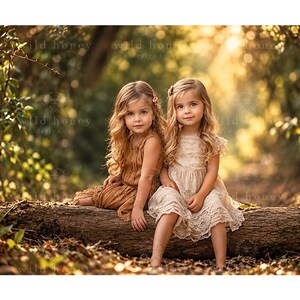 Può includere: Due bambini piccoli con lunghi capelli ondulati seduti su un tronco d'albero caduto. Uno indossa un vestito marrone senza maniche con corpetto testurizzato, mentre l'altro indossa un vestito di pizzo color crema senza maniche con un accessorio floreale.