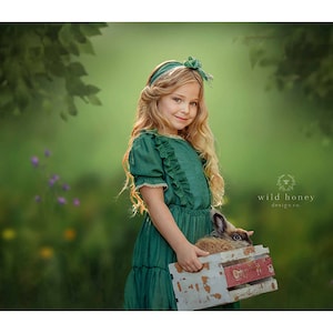 Flower Meadow Digital Backdrop, Flower Field, Digital Background for Photography, Wildflowers, Flowers, Composite, Summer, Spring