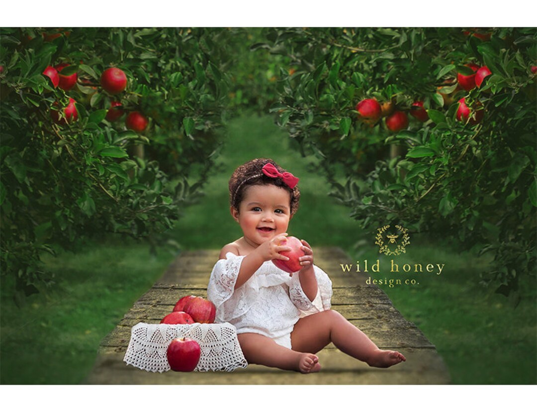 The Apple Orchard Backdrop Painterly, Apples, Wood, Apple Tree, Digital