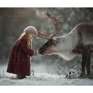 Reindeer Digital Backdrop, Reindeer, Snow, Christmas, Winter, Portrait Photography, Digital Background, Children
