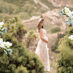 Blossom Tree Branch Photo Overlays: Transparent PNG (Digital Download)
