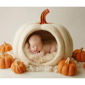 May include: A newborn baby sleeping inside a white felt pumpkin prop. The pumpkin is surrounded by smaller orange felt pumpkins.