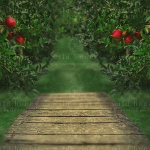 The Apple Orchard Backdrop Painterly, Apples, Wood, Apple Tree, Digital