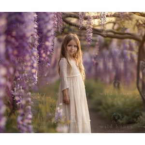 Wisteria Tree Digital Backdrop, Purple Flowers, Path, Digital Background, Portrait Photography