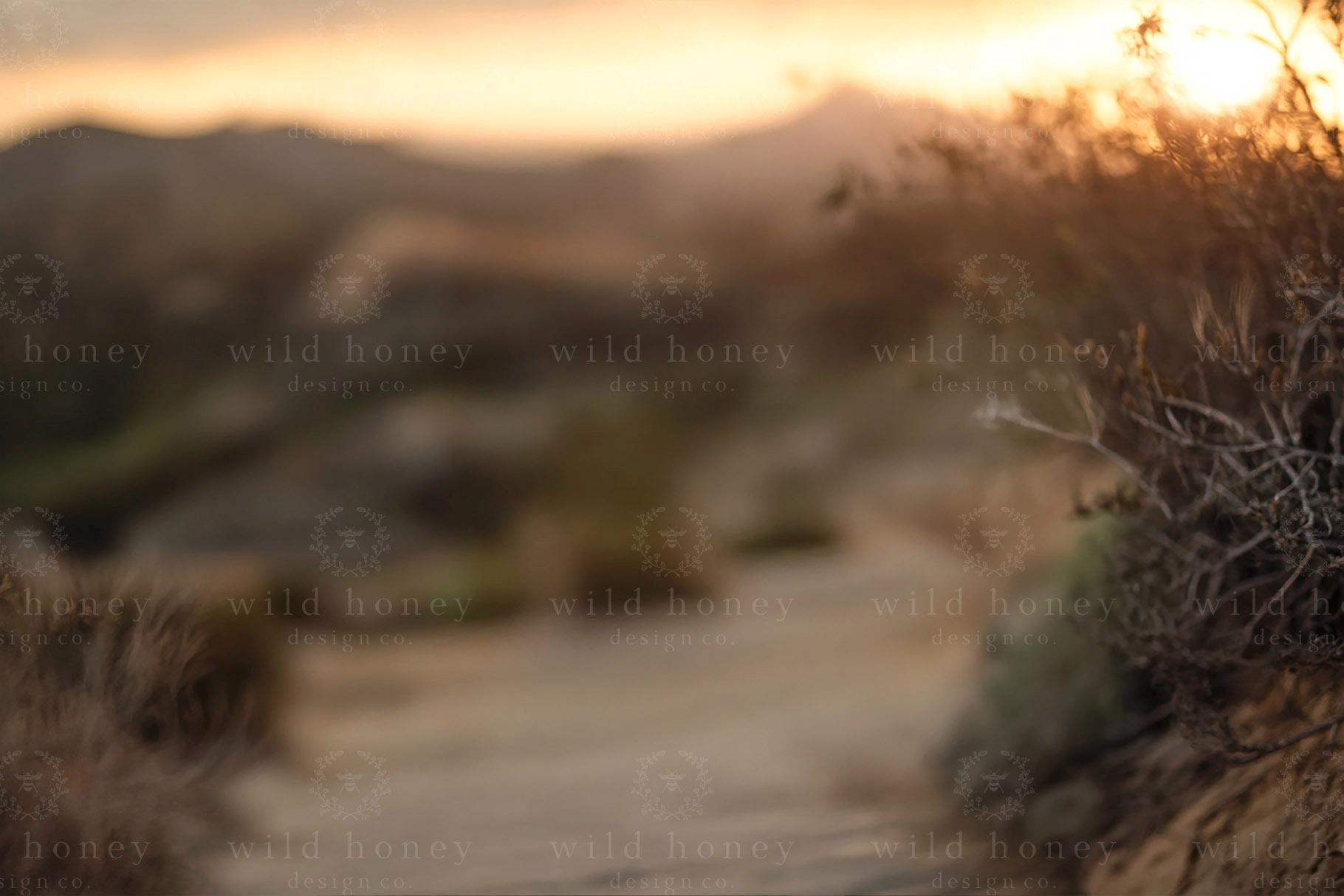 Dusty Path Abstract Dusty Path Digital Backdrop (digital Download) - Etsy