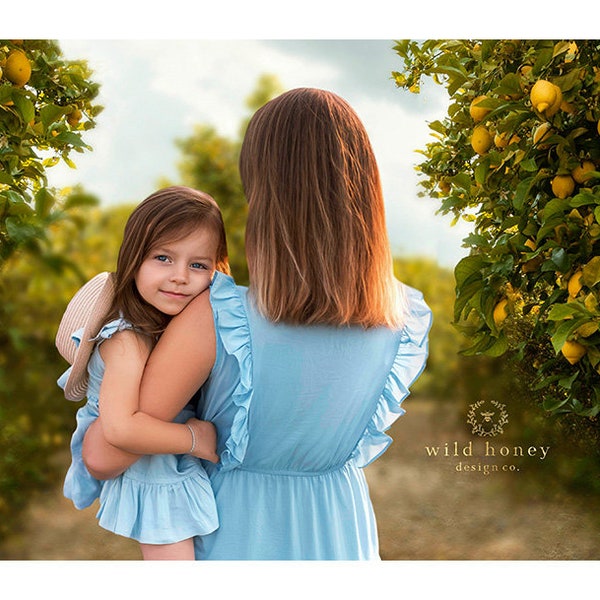 Lemon Grove Digital Backdrop, Orchard, Lemon Trees, JPEG, Digital Background Photography, Nature, Painterly, Fruit Trees