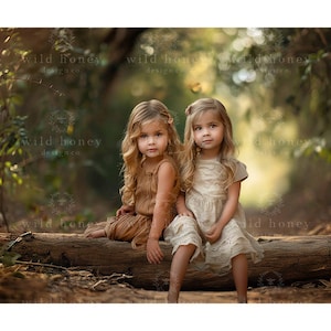 Peut inclure: Deux jeunes filles aux longs cheveux blonds sont assises sur une bûche dans une forêt. Elles portent des robes et sourient à la caméra.