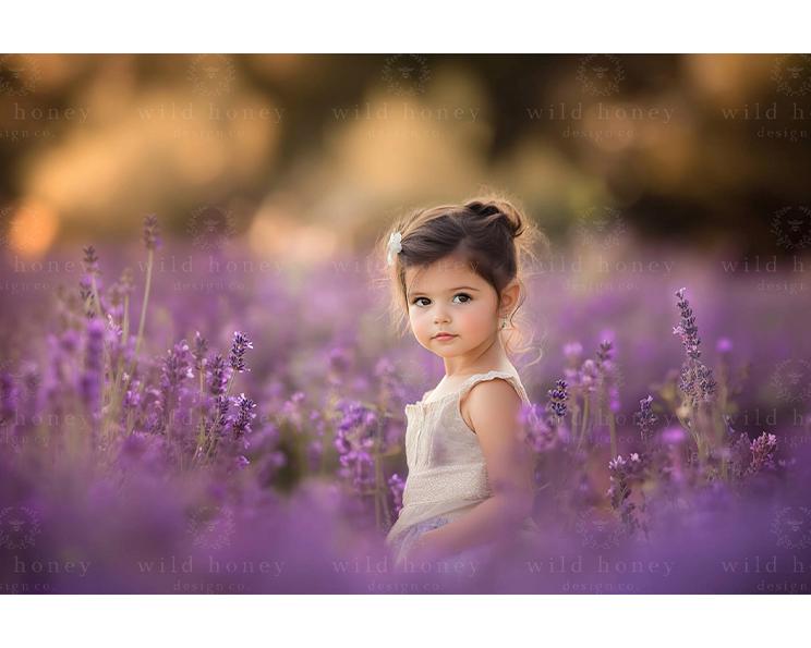 Lavender Field Digital Backdrop, Flowers, Hazy, Painterly, Sunset, Digital Background for Photography, Purple Flowers, Composite, Summer