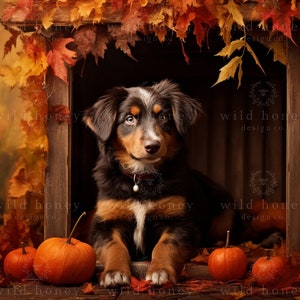 Fall Kennel Digital Backdrop, Doghouse, Pet, Pumpkins,  Dog, Autumn, Leaves, Digital Background
