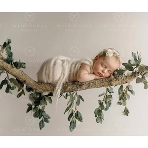 Puede incluir: Un bebé recién nacido durmiendo, con un atuendo color crema y una diadema floral, descansando pacíficamente sobre una rama de árbol adornada con hojas verdes. La rama es marrón y tiene hojas verdes.