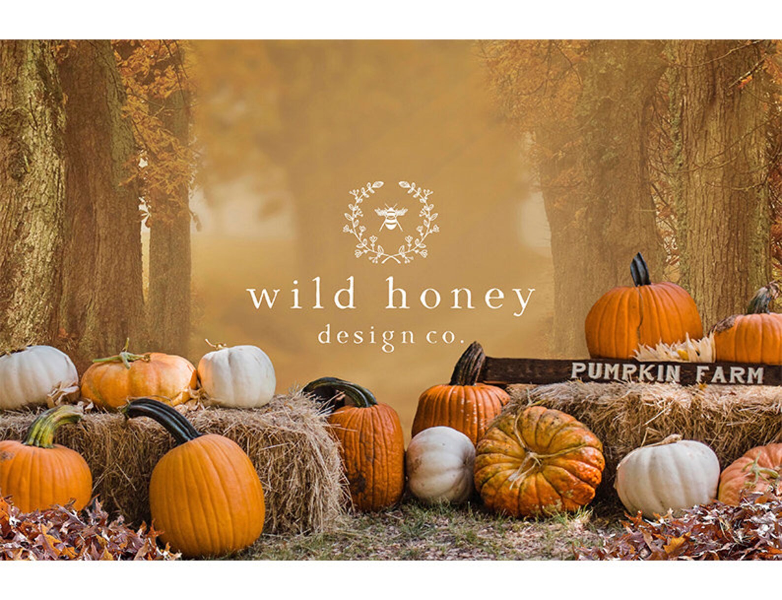 Pumpkin Patch Digital Backdrop Background Halloween Pumpkin - Etsy