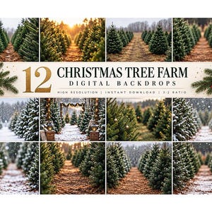 May include: A collection of 12 digital backdrops featuring Christmas tree farm scenes with rows of evergreen trees, some with snow, others with autumn leaves, and decorative pine branches with red berries and pinecones framing the text.
