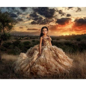 May include: A young girl wearing a gold and brown tulle dress with a floral design. She is standing in a field with a sunset in the background.