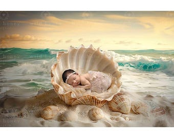 May include: A newborn baby sleeping soundly within a large seashell on a sandy beach. The seashell is white with a light brown interior. The baby is wearing a white dress and a white headband. The background is a blurred image of a beach with blue water and a cloudy sky.