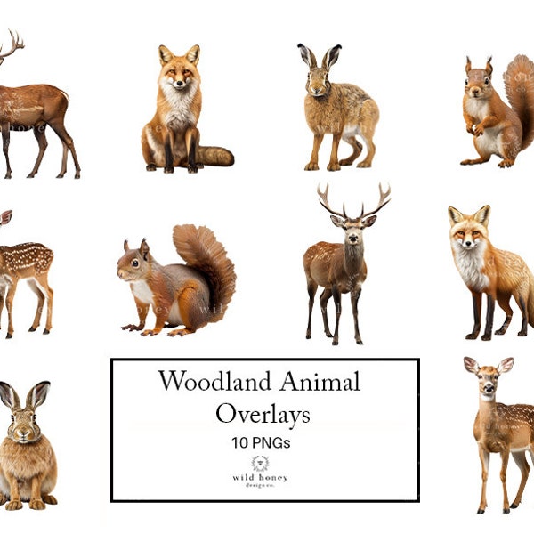 Photorealistic Woodland Animals Overlays, Clipart, 10 PNGs, Deer, Stag, Fawn, Hare, Squirrel, Rabbit, Fox, Wood, Forest Animals, Transparent