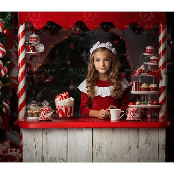 Christmas Candy Stand Digital Backdrop, Christmas Shelves, Cakes, Candy Cane, Xmas, Digital Background