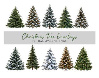Op de afbeelding: Een collectie van tien digitale kerstboom-overlays in transparant PNG-formaat. De set bevat diverse groenblijvende bomen, sommige met besneeuwde takken, warm gloeiende lichtjes of gouden ornamenten tegen een witte achtergrond.