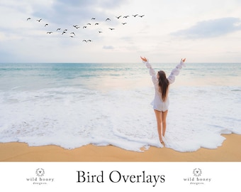 Bird Overlays, Clipart, 10 PNGs, Bird Flocks, Seagulls, Transparent PNG