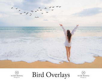 Bird Overlays, Clipart, 10 PNGs, Bird Flocks, Seagulls, Transparent PNG