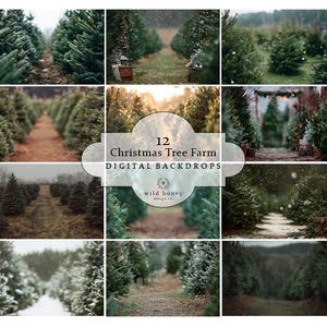 May include: A collage of 12 digital backdrops featuring Christmas tree farm scenes. The images showcase rows of evergreen trees with paths, some with snow, and varying lighting conditions, perfect for digital photography backgrounds.