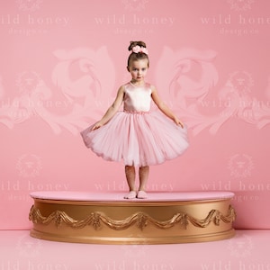 Fondo digital de bailarina, pedestal rosa, niña, Barbie, caja de música, fotografía de retrato, fondo digital