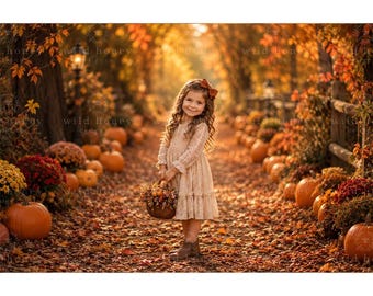 May include: A digital photography backdrop featuring a path covered in fallen autumn leaves, lined with orange pumpkins, colorful chrysanthemums, and trees with golden foliage. The scene includes a wooden fence and a vintage-style street lamp.