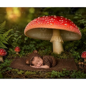 May include: A sleeping infant wearing a brown bear-ear hat and matching textured outfit, resting on a brown mat beneath a large red and white spotted mushroom, surrounded by smaller mushrooms, green ferns, and mossy ground cover.
